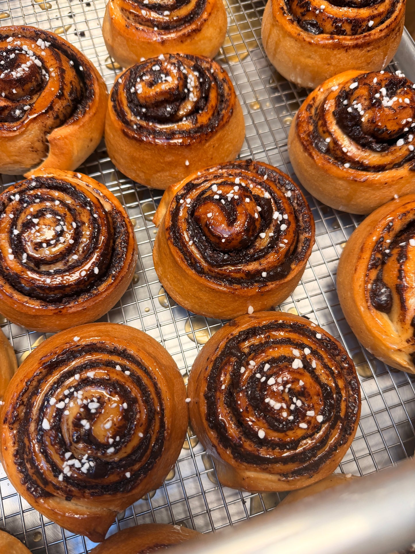 Chocolate Babka Buns